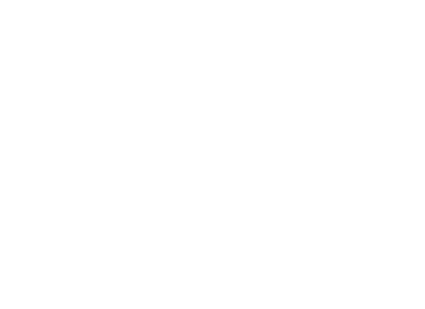 Markus Raming Management GmbH